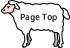 PageTop